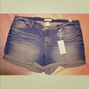 NWT Torrid Plus Size 26 Short Shorts Medium Wash